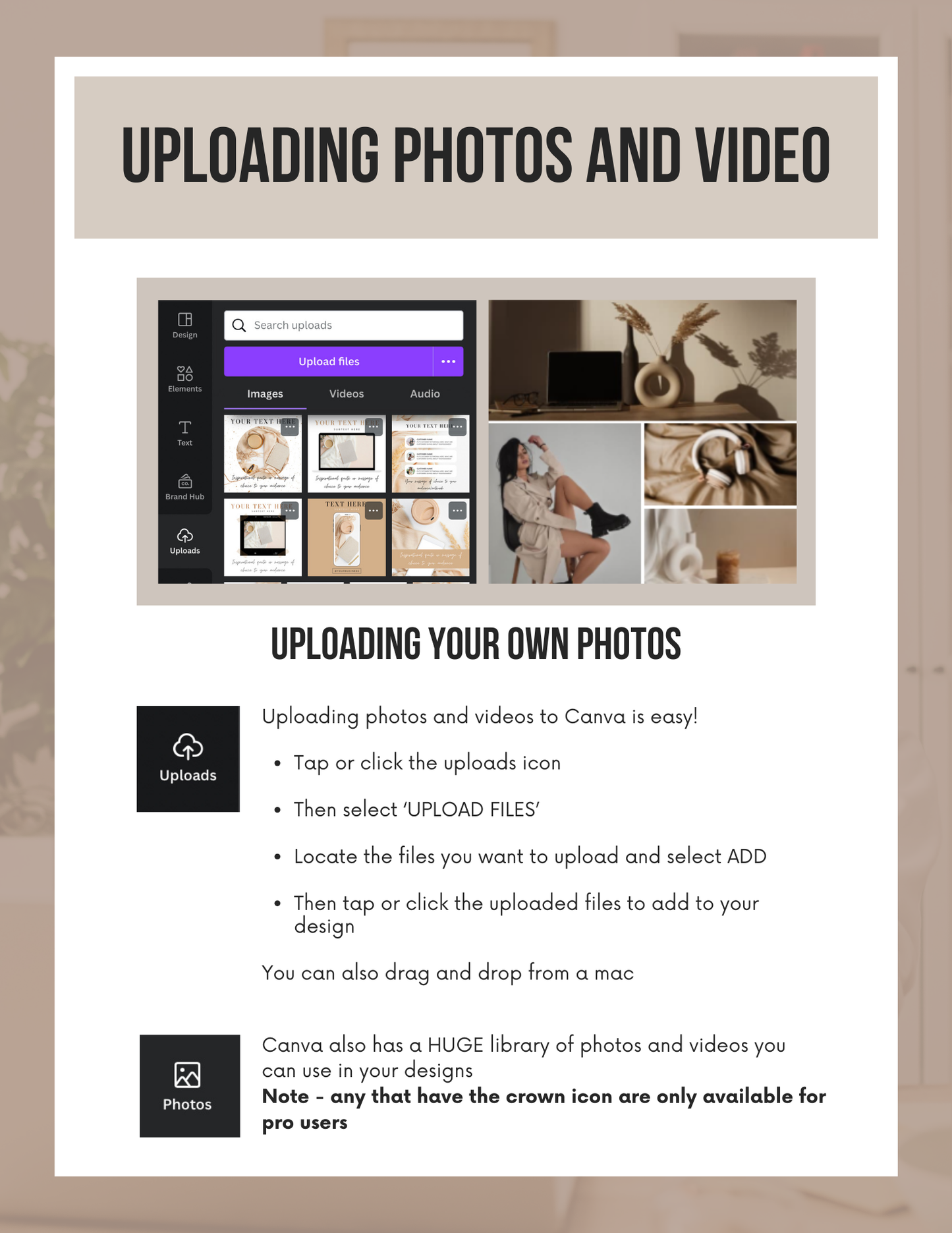 Canva Design Basics