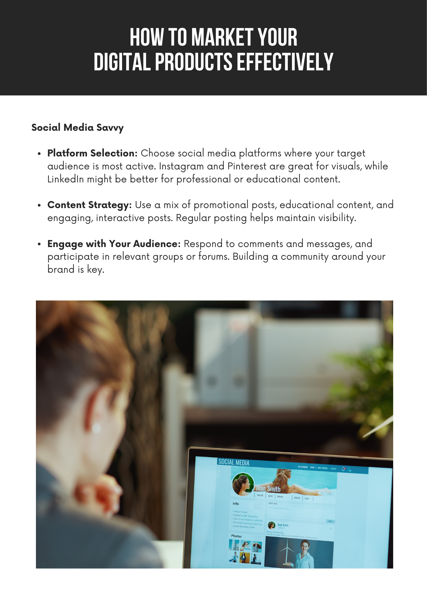 Beginner's Guide to MRR and PLR Income