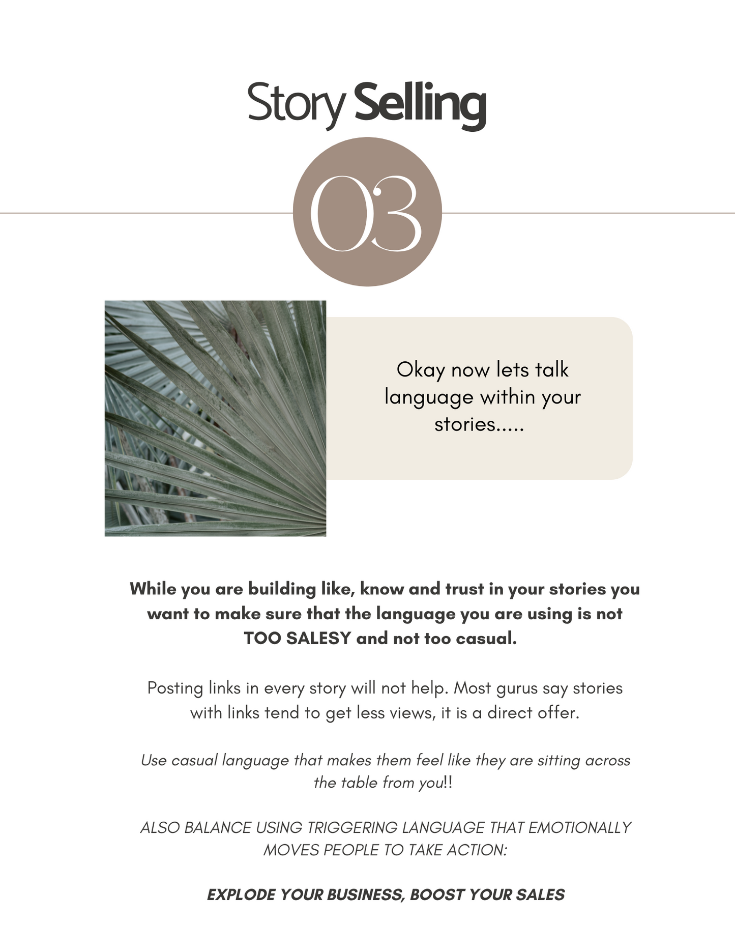 Insta Story Playbook