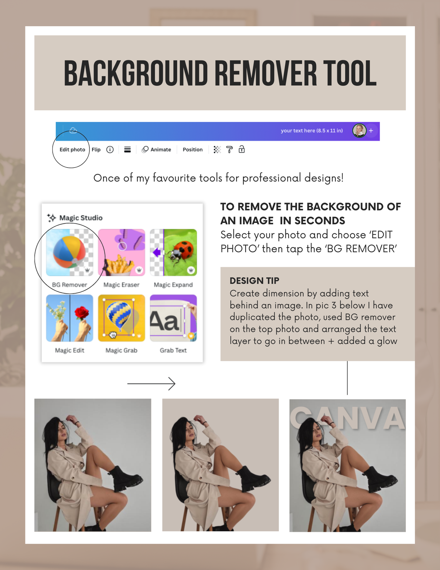 Canva Design Basics