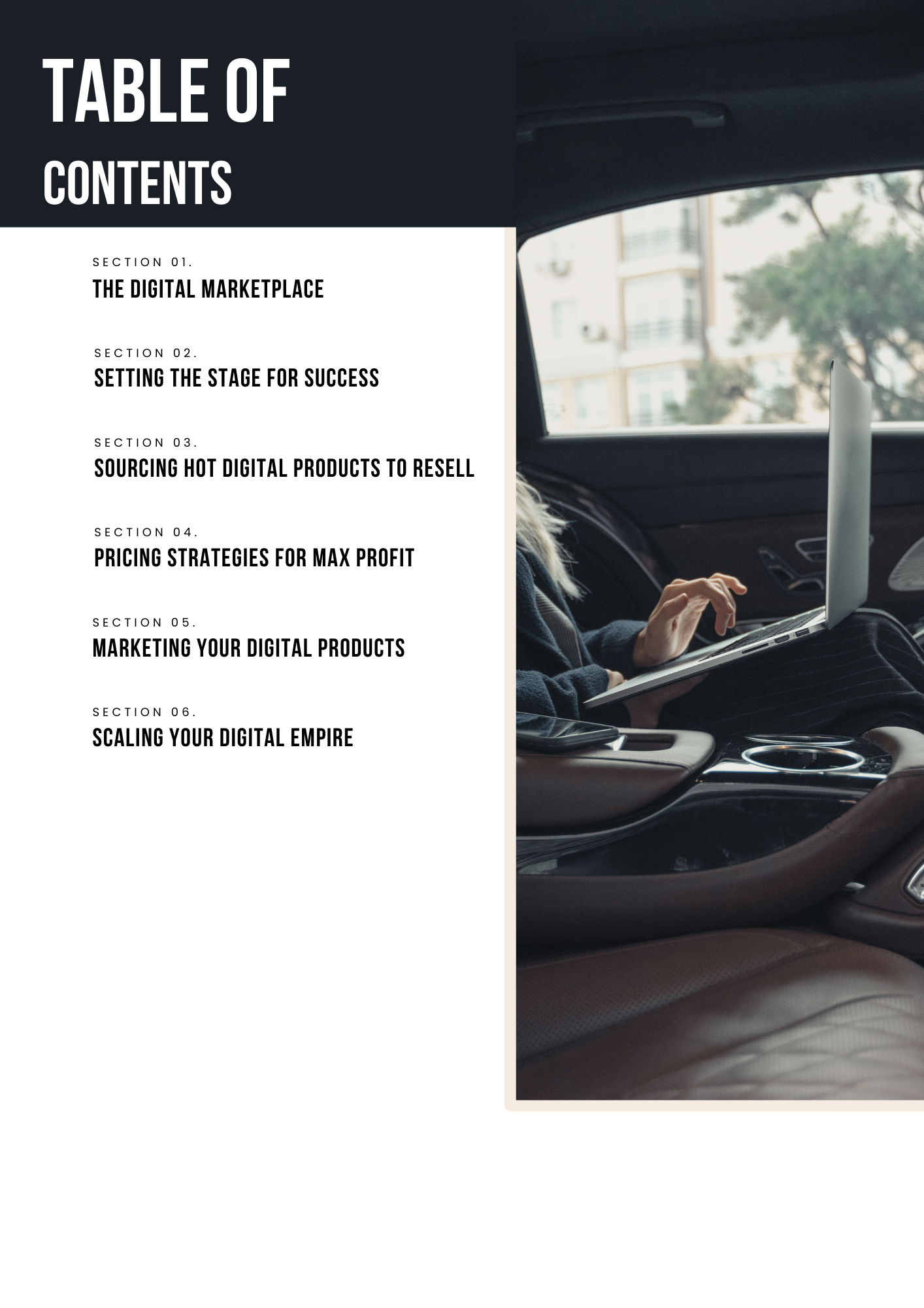 Beginner's Guide to MRR and PLR Income