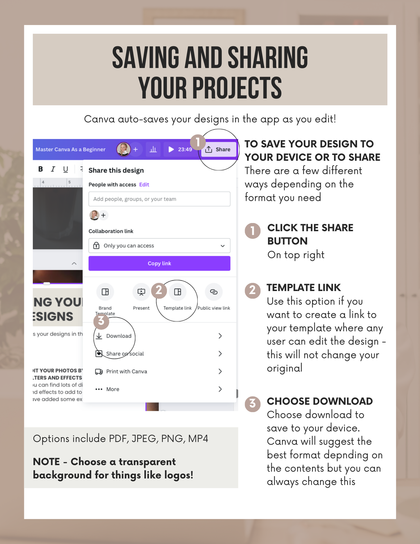 Canva Design Basics
