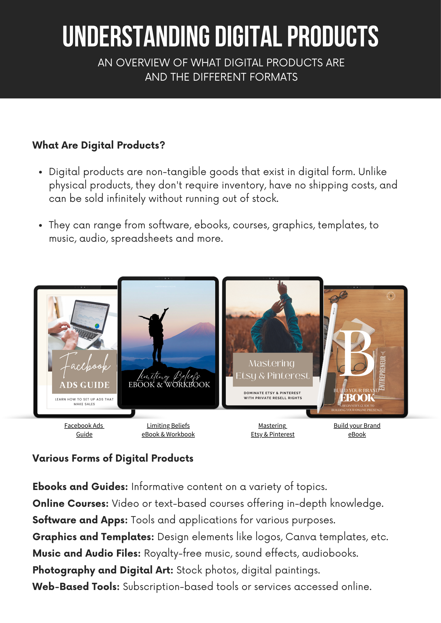 Beginner's Guide to MRR and PLR Income