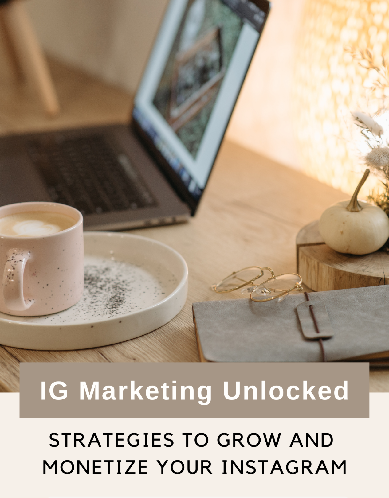 IG Marketing mrr plr