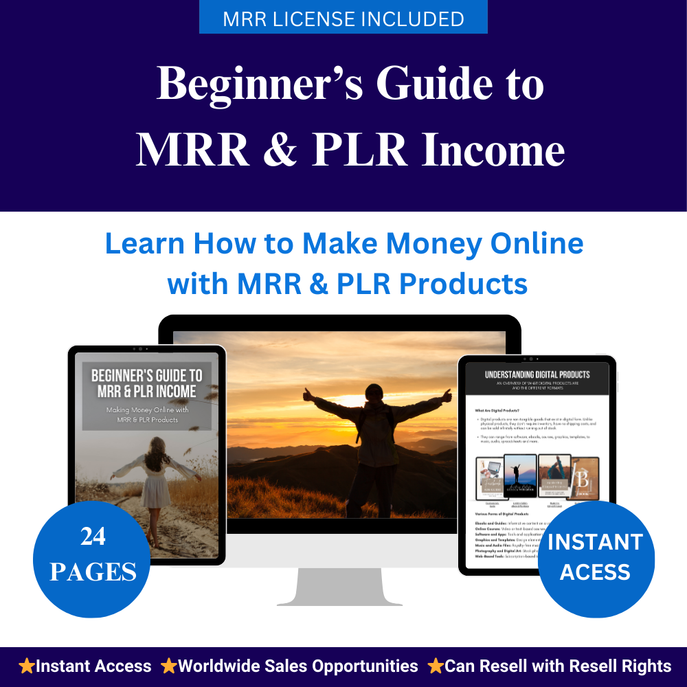 Beginner's Guide to MRR and PLR Income 